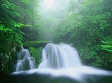 ؓ�x���ܶȏ��ĵ؅^(q��)